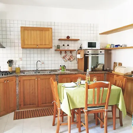 Bougainvillea - Ospedale Policlinico * Monserrato